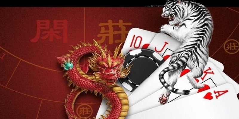 Game long hổ là gì khiến bạn mê mẩn từng phút giây?