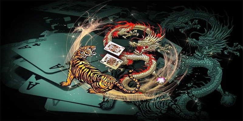 Quy định tham gia game long hổ bạn cần nắm bắt được